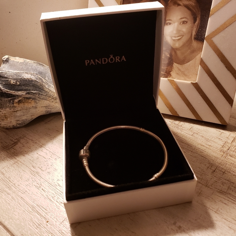 Pandora Snake Chain Bracelet